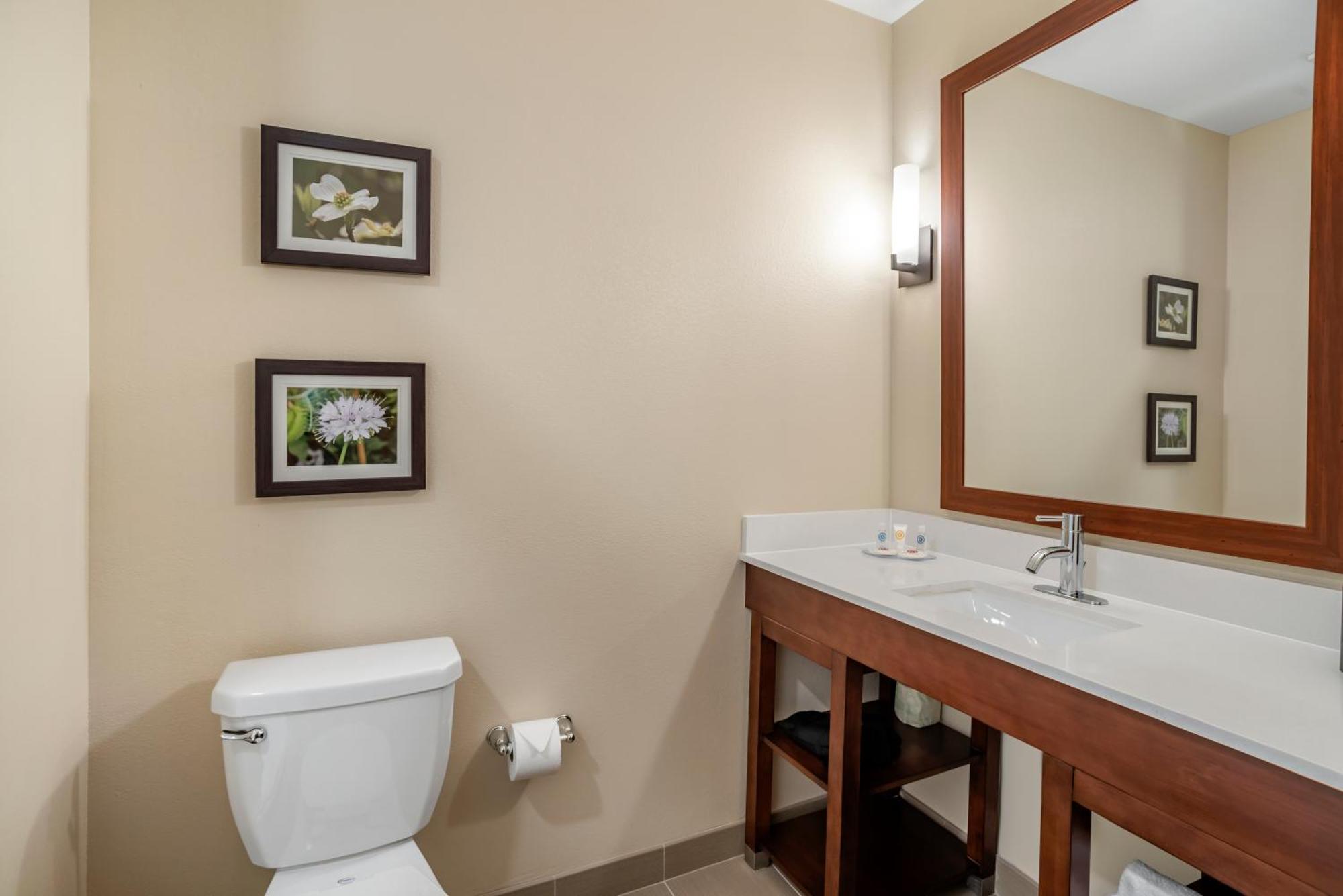 Comfort Inn & Suites Уинчестер Номер фото