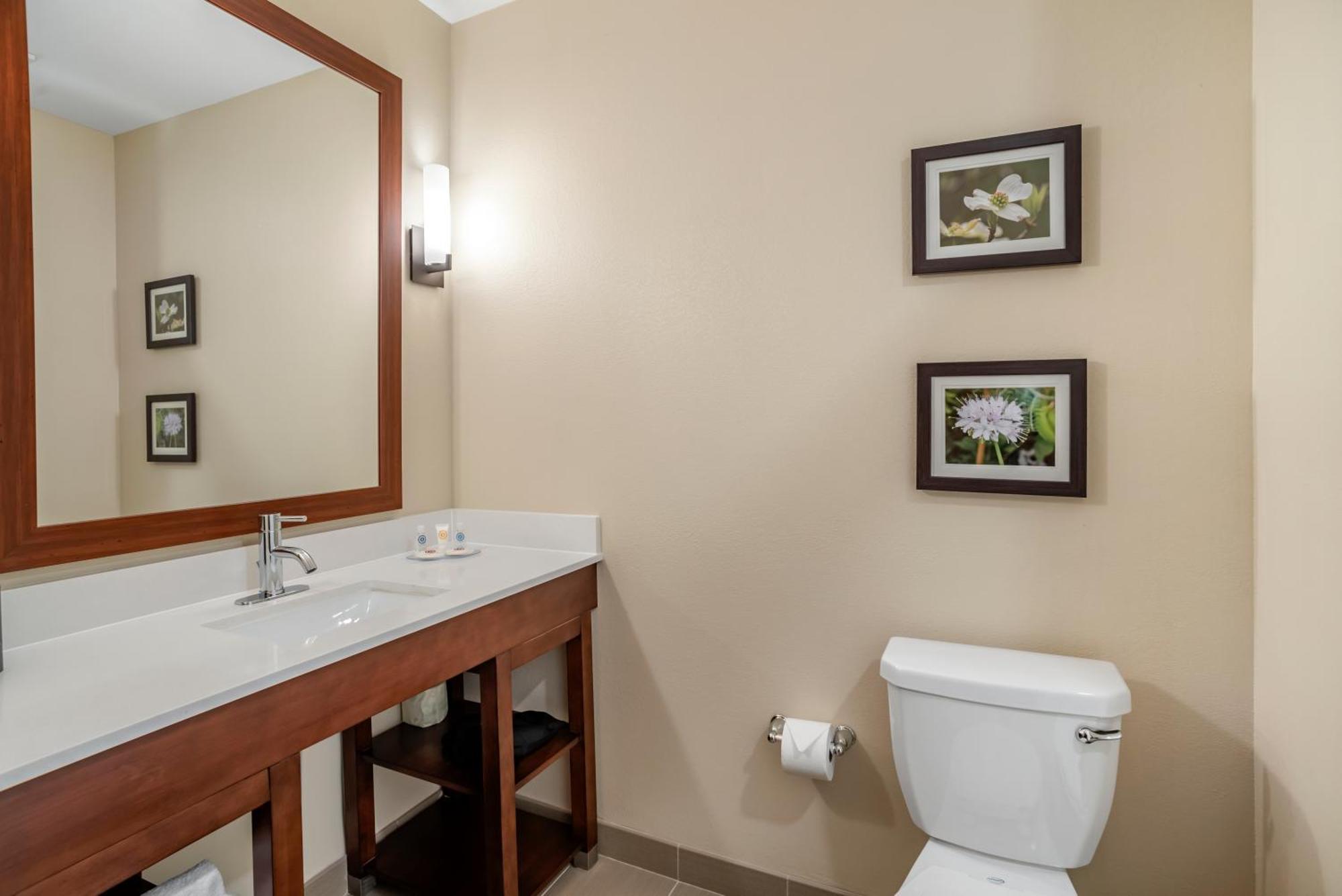 Comfort Inn & Suites Уинчестер Номер фото